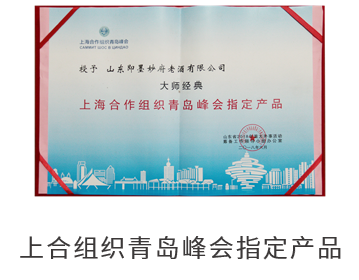 上合组织青岛峰会指定产品