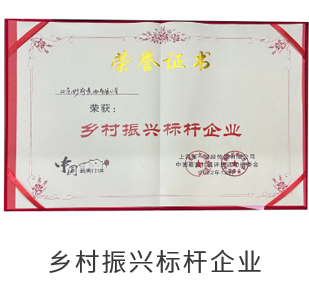 乡村振兴标杆企业
